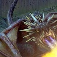 Fotoğraf Mike Newell