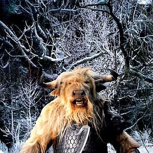 Fotoğraf Andrew Adamson