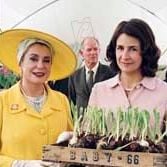 Fotoğraf Valérie Lemercier