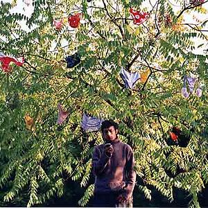 Fotoğraf Sacha Bourdo