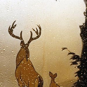 Fotoğraf Bambi