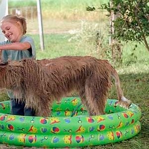 Fotoğraf AnnaSophia Robb