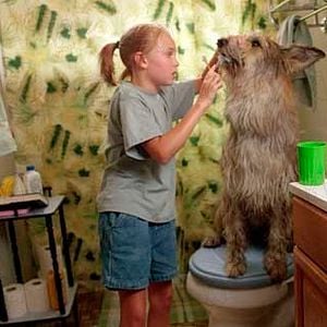 Fotoğraf AnnaSophia Robb