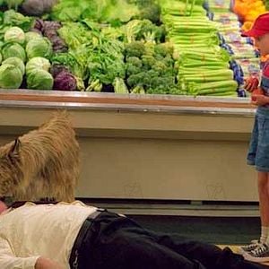 Fotoğraf AnnaSophia Robb