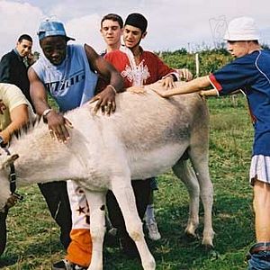 Fotoğraf Jean-Pierre Sinapi