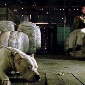 Fotoğraf Juan Villegas