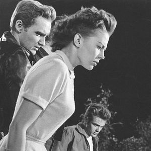 Fotoğraf Asi Gençlik