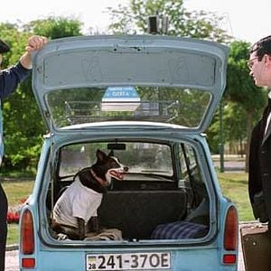 Fotoğraf Liev Schreiber