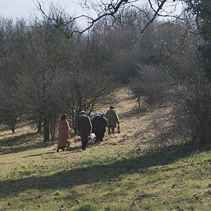 Fotoğraf Christophe Malavoy