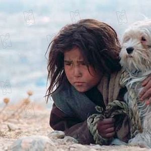 Fotoğraf Marzieh Meshkini