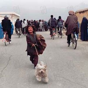 Fotoğraf Şaşkın Köpekler