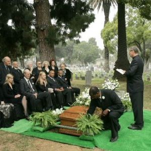 Fotoğraf Mathew St. Patrick