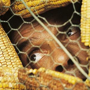 Fotoğraf Yves Caumon