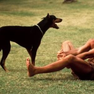 Fotoğraf Magnum, P.I. (1980)