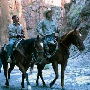 Fotoğraf Tommy Lee Jones