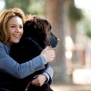 Fotoğraf Diane Lane