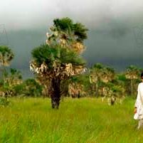 Fotoğraf Juan Solanas