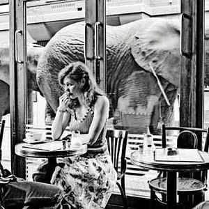 Fotoğraf Dagur Kari