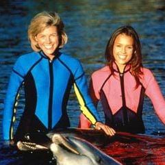 Fotoğraf The New Adventures of Flipper