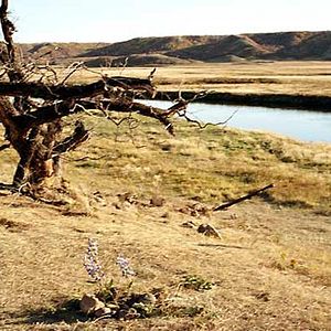 Fotoğraf Gel Git Ülkesi