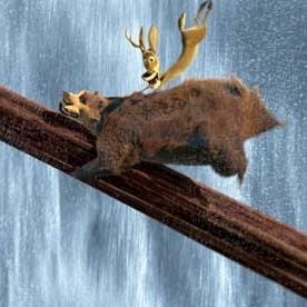 Fotoğraf Anthony Stacchi