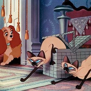 Fotoğraf Hamilton Luske