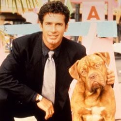 Fotoğraf Tequila and Bonetti