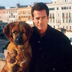 Fotoğraf Le Nuove Avventure di Tequila & Bonetti