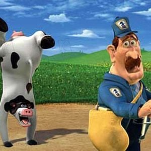 Fotoğraf Steve Oedekerk