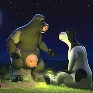 Fotoğraf Steve Oedekerk