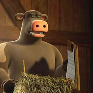 Fotoğraf Steve Oedekerk