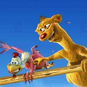 Fotoğraf Steve Oedekerk