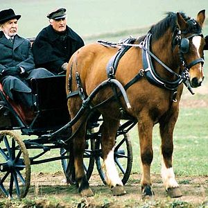 Fotoğraf Jean-Pierre Marielle