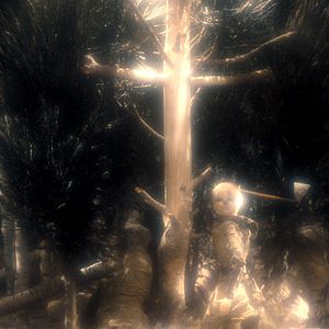 Fotoğraf Timothy Quay