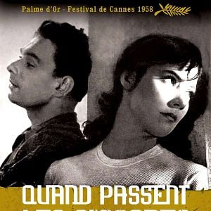 Fotoğraf Mikhail Kalatozov