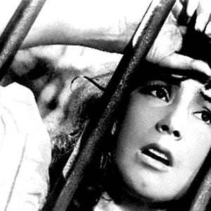 Fotoğraf Mikhail Kalatozov