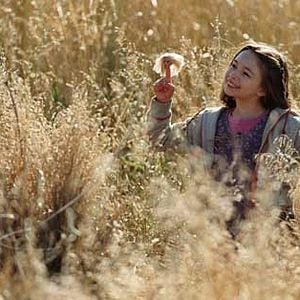 Fotoğraf Gel Git Ülkesi