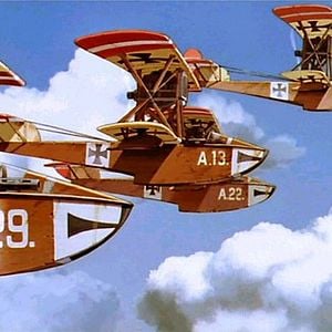 Fotoğraf Kızıl Kanatlar