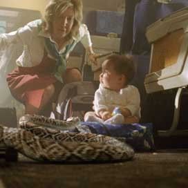 Fotoğraf Ölümcül Kargo