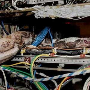 Fotoğraf Ölümcül Kargo