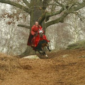 Fotoğraf Les Rois Maudits