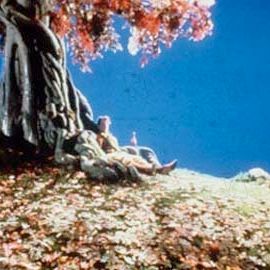 Fotoğraf Terry Gilliam