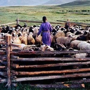 Fotoğraf Byambasuren Davaa