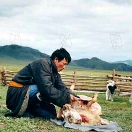 Fotoğraf Byambasuren Davaa