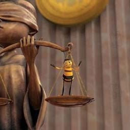 Fotoğraf Arı Filmi