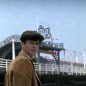 Fotoğraf Atları da Vururlar