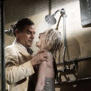 Fotoğraf Atları da Vururlar