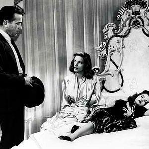 Fotoğraf Lauren Bacall