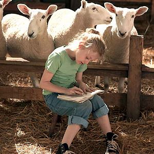 Fotoğraf Gary Winick