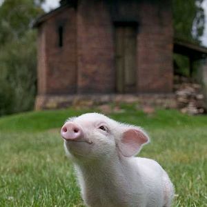 Fotoğraf Gary Winick